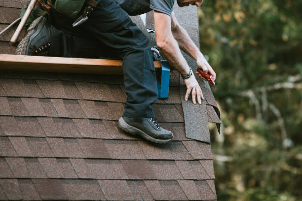 Roof Waterproofing Services in Willard, MO